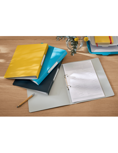 CARPETA 2 ANILLAS ACTIVE COSY AMARILLO LEITZ...