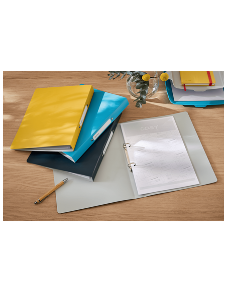 CARPETA 2 ANILLAS ACTIVE COSY AMARILLO LEITZ 42380019