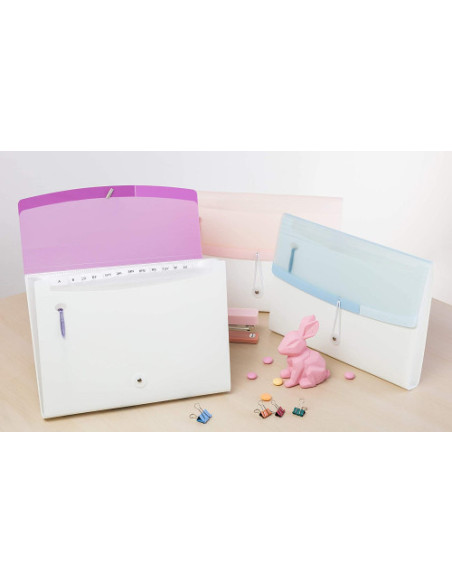 CARPETA ACORDEÓN DISEÑO CON 13 COMPARTIMENTOS COLOR DREAM ROSA TARIFOLD 511323