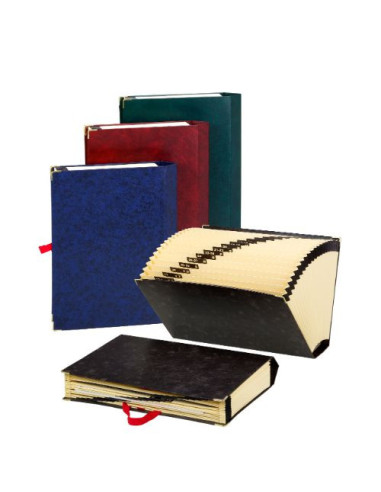 CARPETA ACORDEON TAMAÑO FOLIO 20 POSICIONES NEGRO CARCHIVO 199438