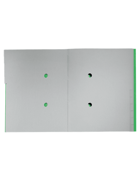 CARPETA CLASIFICADORA DE CARTON 12 POSICIONES A4 RECYCLE 100% VERDE LEITZ 39150055