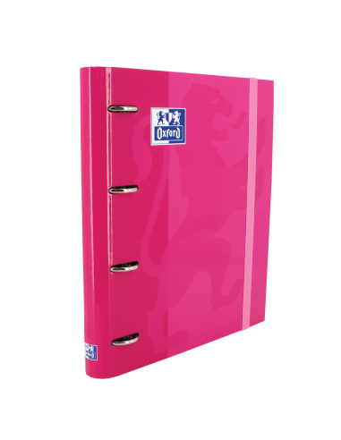 CARPETA CON GOMA EUROPEANBINDER TAPA EXTRADURA...