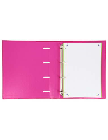 CARPETA CON GOMA EUROPEANBINDER TAPA EXTRADURA...