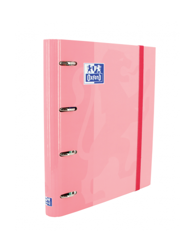 CARPETA CON GOMA EUROPEANBINDER TAPA EXTRADURA...