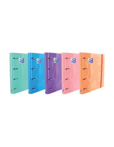 CARPETA CON GOMA EUROPEANBINDER TAPA EXTRADURA...
