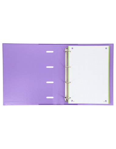 CARPETA CON GOMA EUROPEANBINDER TAPA EXTRADURA...