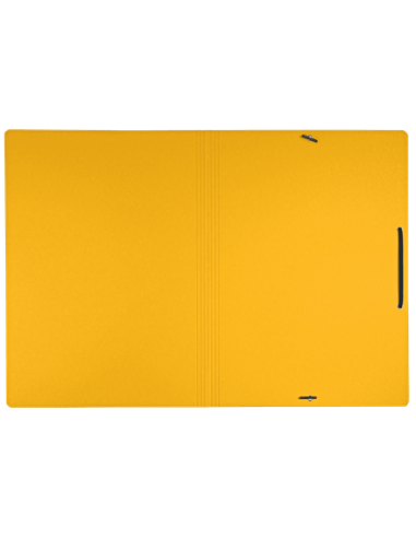 CARPETA DE CARTON CON GOMAS Y SIN SOLAPAS A4...