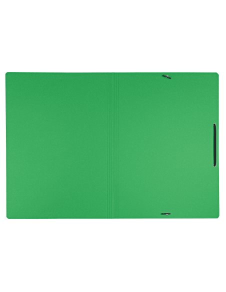CARPETA DE CARTON CON GOMAS Y SIN SOLAPAS A4 RECYCLE 100% VERDE LEITZ 39080055