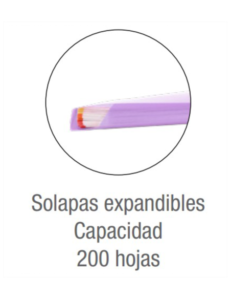 CARPETA DE GOMAS CON SOLAPAS LIVE & GO TP A4+ - SURTIDO PASTEL OXFORD 400146208