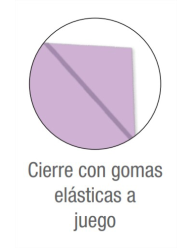 CARPETA DE GOMAS CON SOLAPAS LIVE & GO TP A4+ -...