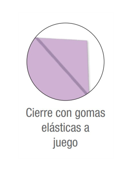 CARPETA DE GOMAS CON SOLAPAS LIVE & GO TP A4+ - SURTIDO PASTEL OXFORD 400146208