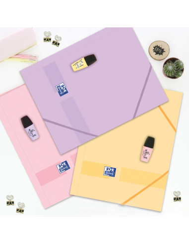 CARPETA DE GOMAS CON SOLAPAS LIVE & GO TP A4+ -...