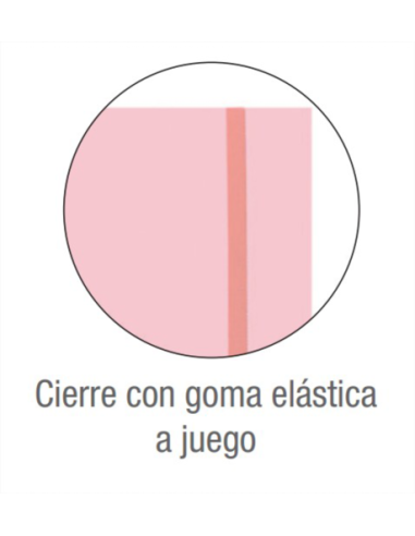 CARPETA DE GOMAS CON SOLAPAS LIVE & GO TP A4+ -...