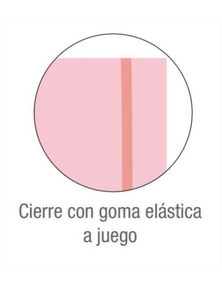 CARPETA DE GOMAS CON SOLAPAS LIVE & GO TP A4+ - SURTIDO PASTEL OXFORD 400146208