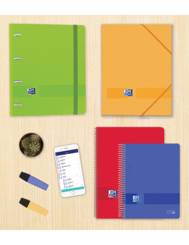 CARPETA DE GOMAS CON SOLAPAS LIVE & GO TP A4+ -...