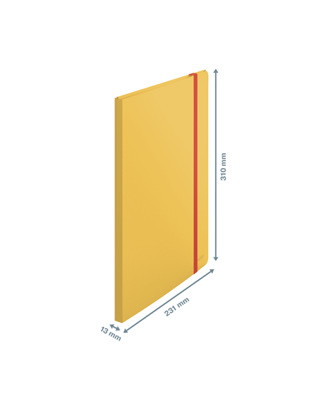 CARPETA FUNDAS COSY MOBILE PLUS AMARILLO LEITZ 46700019