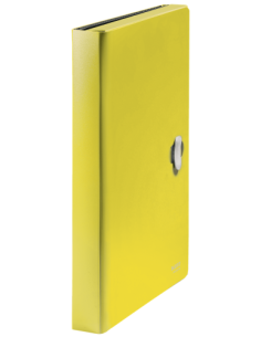 CARPETA POLIPROPILENO ACORDEON 5 POSICIONES+BOLSILLO FRONTAL BROCHE GIRATORIO A4 RECYCLE AMARILLO LEITZ 46240015