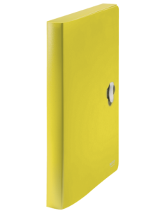 CARPETA POLIPROPILENO DE PROYECTOS 38MM Y CIERRE BROCHE GIRATORIO A4 RECYCLE AMARILLO LEITZ 46230015