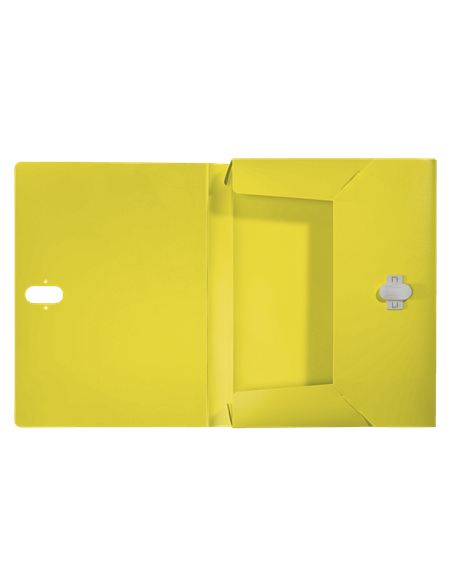 CARPETA POLIPROPILENO DE PROYECTOS 38MM Y CIERRE BROCHE GIRATORIO A4 RECYCLE AMARILLO LEITZ 46230015