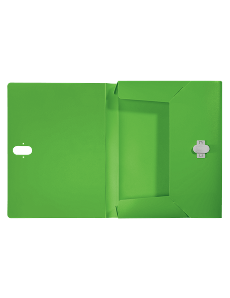 CARPETA POLIPROPILENO DE PROYECTOS 38MM Y CIERRE BROCHE GIRATORIO A4 RECYCLE VERDE LEITZ 46230055