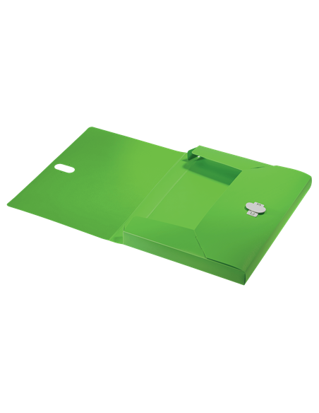 CARPETA POLIPROPILENO DE PROYECTOS 38MM Y CIERRE BROCHE GIRATORIO A4 RECYCLE VERDE LEITZ 46230055