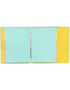 CARPETA SEPARADORA - ESTO ESTÁ HECHO! MR WONDERFUL WOA11103