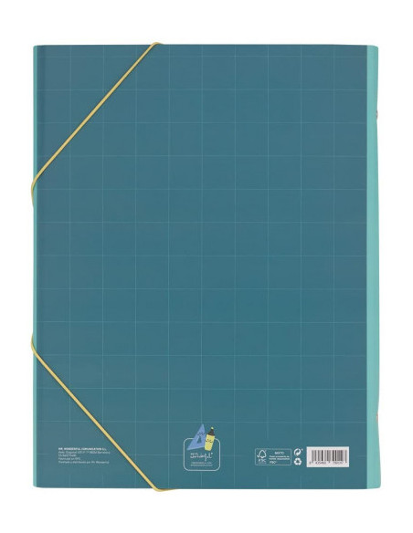 CARPETA SEPARADORA - ESTO ESTÁ HECHO! MR WONDERFUL WOA11103