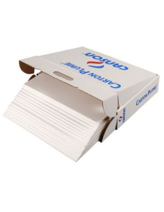 CARTON PLUMA A3 5MM BL CANSON C205154223