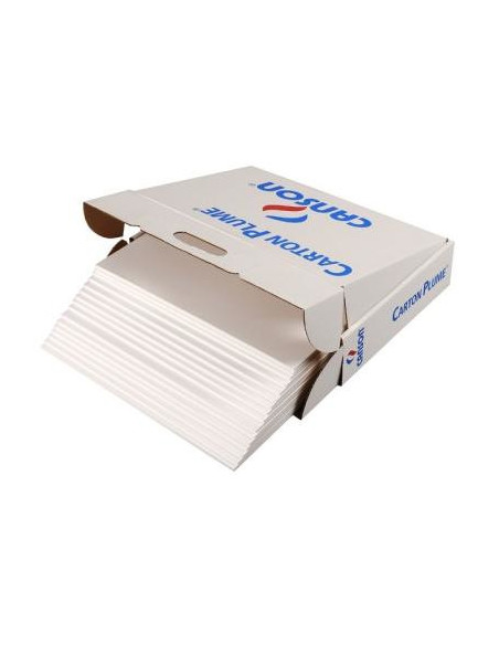 CARTON PLUMA A3 5MM BL CANSON C205154223