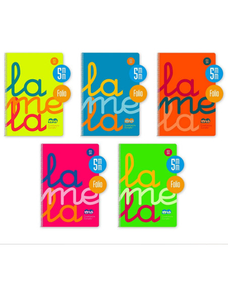 CUADERNO FOLIO PLASTIC RAYADO 5 MM 80 HOJAS 90 GRS COLORES SURTIDOS LAMELA 7FTP005S