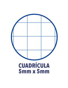 CUADERNO EUROPEANBOOK 1 TAPA EXTRADURA A4+ 80 HOJAS 5X5 COLOR ICE MINT OXFORD 400040983 2