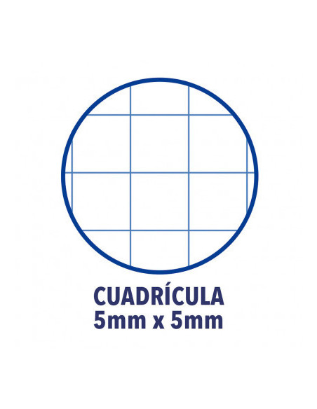 CUADERNO OXFORD EUROPEANBOOK 1 TAPA EXTRADURA A4+ 80 HOJAS 5X5 COLOR ICE MINT   400040983