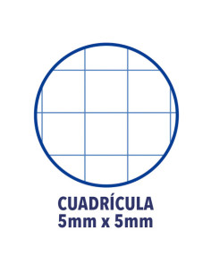 CUADERNO EUROPEANBOOK 1 TAPA EXTRADURA A4+ 80 HOJAS 5X5 COLOR TURQUESA OXFORD 400028276 2