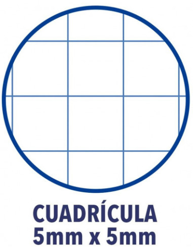 CUADERNO OXFORD EUROPEANBOOK 5 TAPA EXTRADURA...