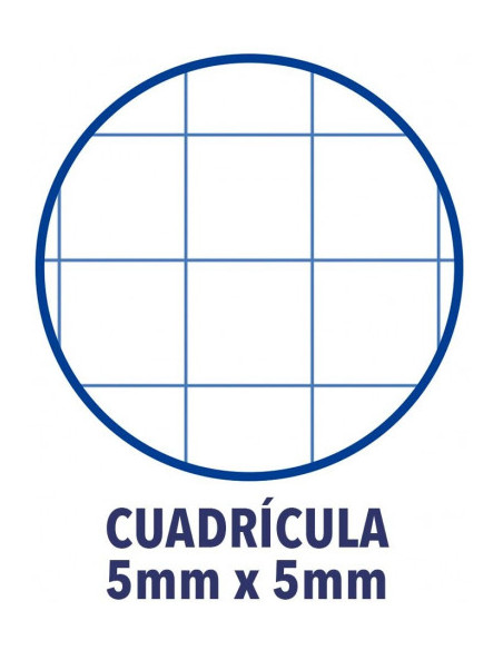 CUADERNO OXFORD EUROPEANBOOK 5 TAPA EXTRADURA A4+ 120 HOJAS 5X5 COLORES VIVOS 50% HOJAS GRATIS   100430279