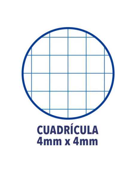 CUADERNO TAPA EXTRADURA 4º 80 HOJAS 4X4 COLORES SURTIDOS OXFORD 100430151