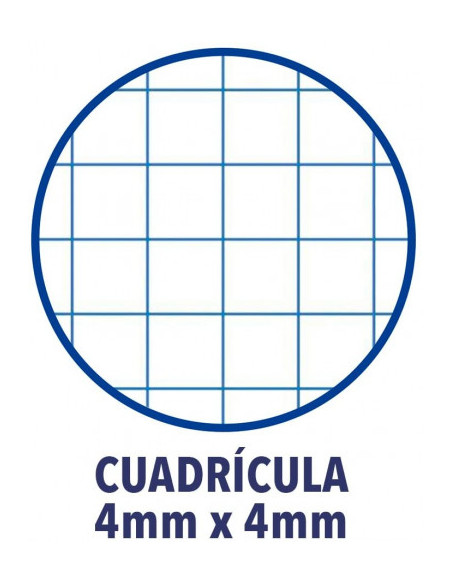CUADERNO TAPA PLASTICO 4º 80 HOJAS 4X4 COLORES SURTIDOS OXFORD 400044180