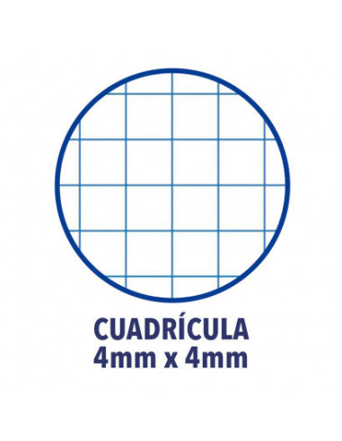 CUADERNO TAPA PLASTICO FOLIO 80 HOJAS 4X4...