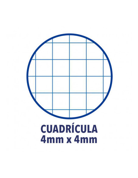 CUADERNO TAPA PLASTICO FOLIO 80 HOJAS 4X4 COLORES SURTIDOS OXFORD 400088603