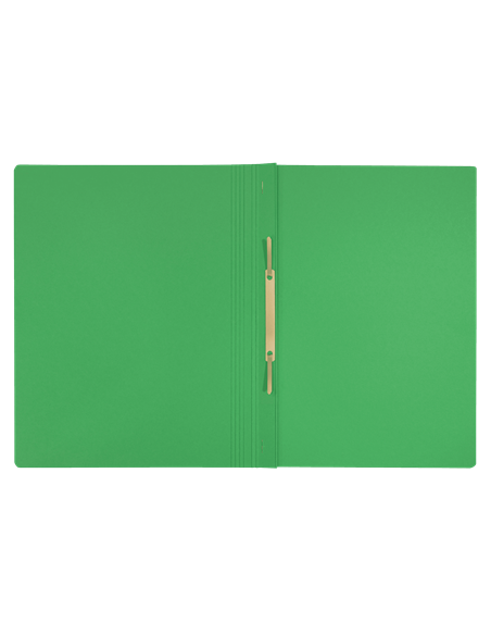 DOSIER FASTENER DE CARTON CON MECANISMO METALICO 100% RECYCLED A4 VERDE LEITZ 39040055