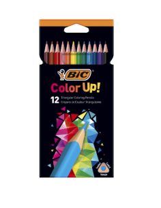 ESTUCHE 12 LAPICEROS INTENSITY UP COLORES SURTIDOS BIC 9505273
