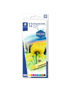 ESTUCHE DE CARTÓN CON 12 PASTELES