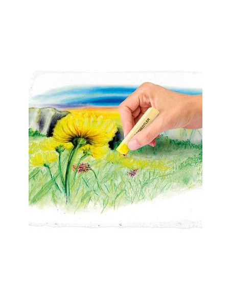 ESTUCHE DE CARTÓN CON 12 PASTELES, COLORES SURTIDOS STAEDTLER 2430 C12