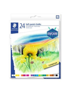 ESTUCHE DE CARTÓN CON 24 PASTELES