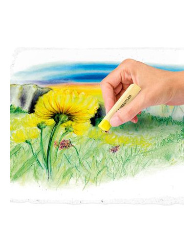 ESTUCHE DE CARTÓN CON 24 PASTELES, COLORES...