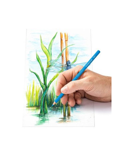 ESTUCHE DE METAL CON 24 LÁPICES, COLORES...