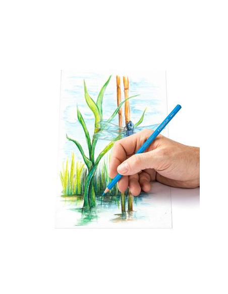 ESTUCHE DE METAL CON 24 LÁPICES, COLORES SURTIDOS STAEDTLER 14610C M24