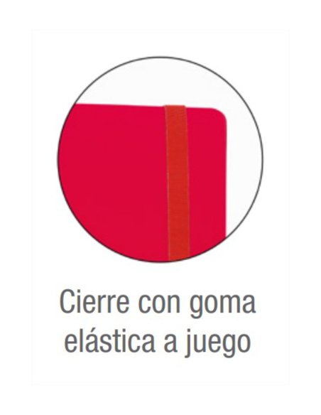 EUROPEANBINDER+ LIVE & GO POLYFOAM A4+ CON RECAMBIO 100H 5X5 - SURTIDO PASTEL OXFORD 400146175