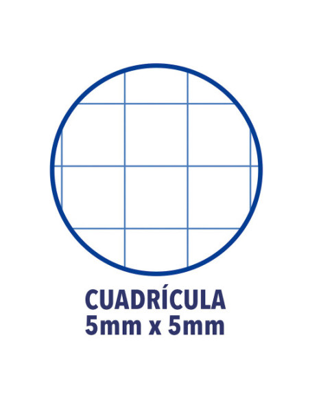 EUROPEANBINDER+ LIVE & GO POLYFOAM A4+ CON RECAMBIO 100H 5X5 - SURTIDO VIVOS OXFORD 400146174