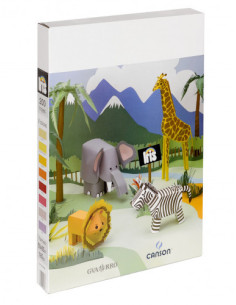 EXPOSITOR 200H CARTULINA IRIS 50X65 SURTIDO CANSON C200004697